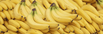 Do you have a banana allergy or an intolerance?