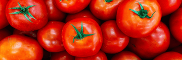 Tomato Intolerance: What is the cause?