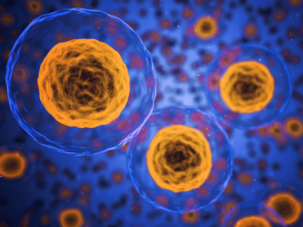 The Language of Cells Could Be The Code to Allergies